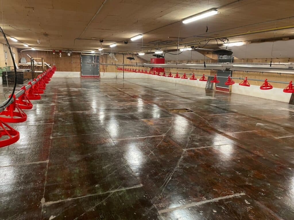 Revêtement protection poulailler