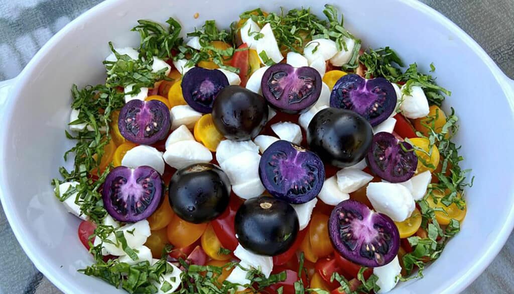 Tomate mauve