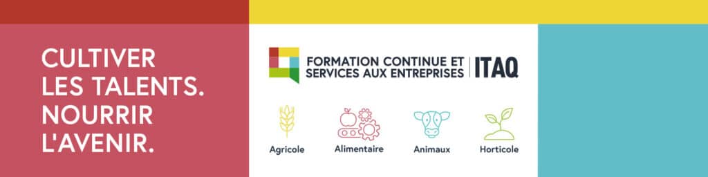 Bannière formation continue ITAQ