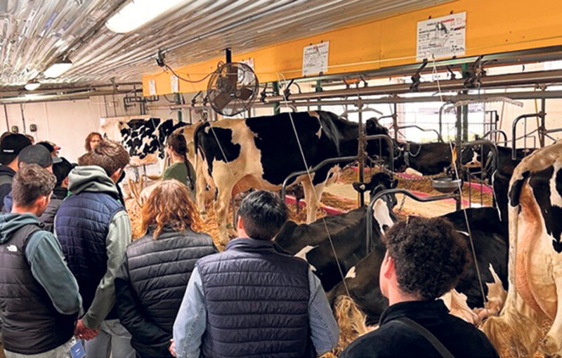 Accueil d’un groupe d’étudiants français en visite à la Ferme Maskita.